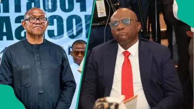 2027 Election: Tinubu's Aide Mocks Peter Obi as 'Wandering Politician' After ADC Defection