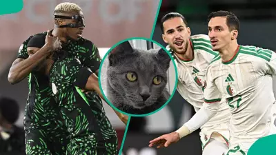 AFCON 2025: Cat with 100% R16 Predictions Forecasts Nigeria to Beat Algeria