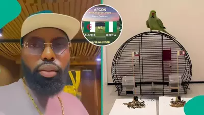 AFCON 2025: Man Reacts as Parrot With 100% Prediction Rate Picks Nigeria Over Algeria