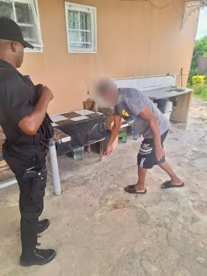 Bold Thief Steals Cooking Pot of Chicken Curry on Fire in South Africa