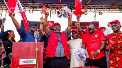 Chima Amadi Joins 2027 Imo Governorship Race Under APP Platform