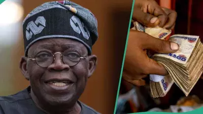 FG Opens YEIDEP Batch B Portal: How to Apply for ₦50,000 to ₦500,000 Grant