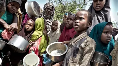 Food Insecurity Crisis: Over 26 Million Nigerians Affected, Expert Reveals Root Causes