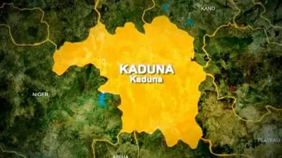 Kaduna Police Arrest 4 Bandits, Recover 65 Stolen Cows in Chikun Raid