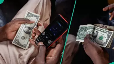 Naira Gains to N1,429/$1: Currency Appreciates in Official, Black Markets