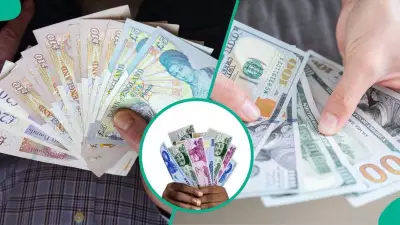Naira Makes Historic 6.5% Gain in 2025, First Annual Rise Since 2012