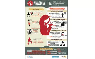 Nigeria Misses 2025 Anaemia Target, Joins Regional Push for 2030 Goal