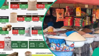 Nigerian Food Prices Shift in January: Rice, Garri Drop as Cooking Oils Rise