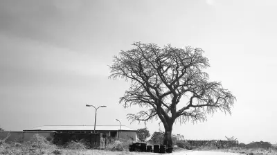 Nigeria's Harmattan Vanishes: Unusual Heat Signals Climate Crisis