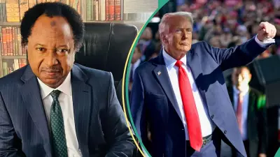 Shehu Sani Reacts to Trump's U-Turn on Nigeria Violence, Warns Against Foreign Intervention