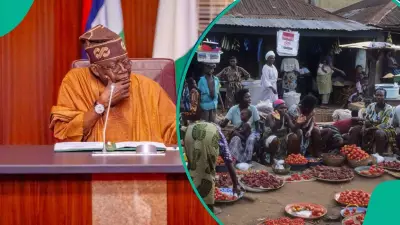 Tinubu's 2026 Budget: Top 10 Ministries Get N48.31 Trillion, Revealing Government Priorities