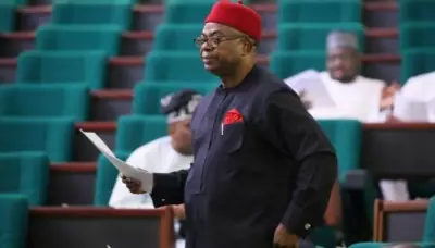 Tinubu's ADSW Summit Role Opens Climate Finance, Green Investment for Nigeria