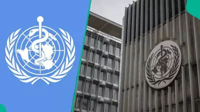 WHO Announces High-Paying Director of Communications Job, Salary Over $128k