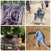 11 Boko Haram/ISWAP Terrorists Surrender, 8 Neutralised in Borno Offensive