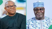 Atiku Responds to Peter Obi's Supporter Accusing His Followers of Inciting Civil War