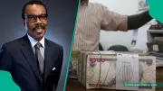 Bismarck Rewane: Naira Undervalued by 11%, Fair Rate at N1,256.79/$