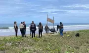 Five Human Heads Found Hanging on Ecuador Beach in Drug War Violence