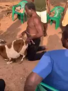 Man Publicly Flogged and Humiliated for Alleged Bestiality with Sheep in Ghana