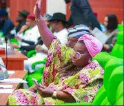 N1.75 Trillion NDDC Budget Must Deliver Real Impact, Says House Committee