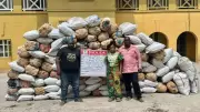 NDLEA Busts Drug Ring in Ogun, Seizes 1.6 Tonnes of Cannabis