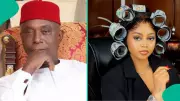 Ned Nwoko Releases WhatsApp Chat to Regina Daniels, Disputes Abuse Claims