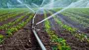 Nigerian Farmers Demand FG Subsidies for Solar Irrigation to Fight Climate Change