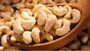 Nigeria's Cashew Sector Holds $10 Billion Yearly Potential, Says NCAN
