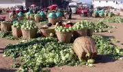 NSPRI Trains 50 Students in Postharvest Skills to Boost Food Security