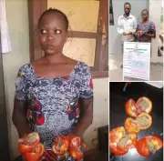 Ondo Prison Drug Smuggle Foiled: Two Arrested with Indian Hemp in Tomatoes