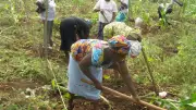 PAWISCA Empowers 5,000+ Nigerian Women for Food Security & Export Growth