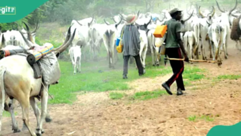 Benue Market Massacre: 13 Killed, Women Kidnapped as Herdsmen Attack Mbaikyor