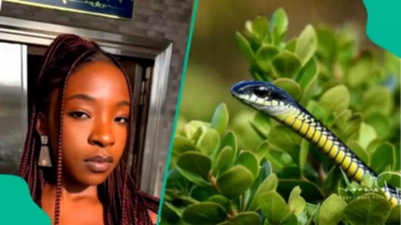 Pest Control Expert Identifies Snake-Hotspots in Lagos Following Singer's Tragic Death