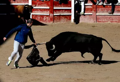 71-Year-Old Man Dies After Bull Goring at Spanish Bullfighting Festival