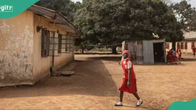 Adamawa Teen's Suicide Attempt After Pregnancy by Mechanic Exposes Youth Vulnerability