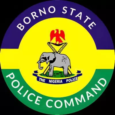 Borno Forest Guard Arrested for Allegedly Killing His Son in IDP Camp