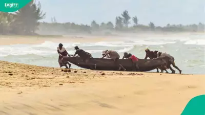 Cyclone Gezani Ravages Madagascar: 20 Dead, Toamasina in 'Total Chaos'