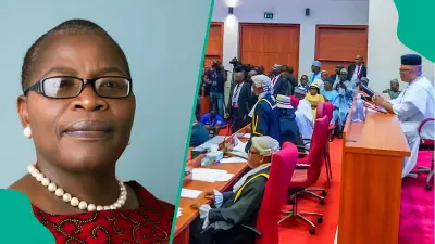 Ezekwesili Blasts Senate Over Electoral Act Review, Warns Against 'Insulting Nigerians'