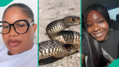 Nigerian Lady Discovers Black Snake in Home After Ifunanya's Death