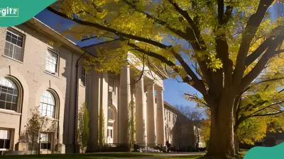 Nigerian UNILAG Graduate Found Dead in US Apartment While Pursuing MBA at Cornell