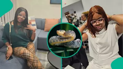 Nigerian Woman Survives Snakebite via Herbalist, Medical Expert Debunks Method