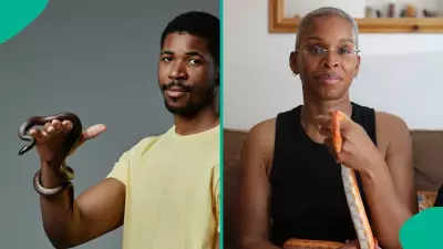 Nigeria's Snakebite Crisis: 43,000 Annual Cases Amid Critical Antivenom Shortages