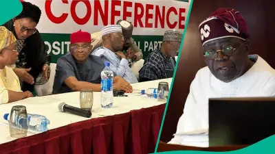 Opposition Leaders Atiku, Obi, Mark, Amaechi Meet to Unseat Tinubu in 2027