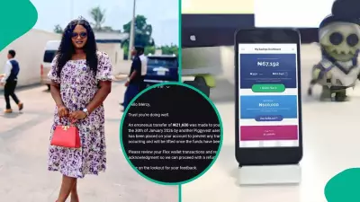 PiggyVest's Swift Action Praised After User's Mistaken Money Transfer