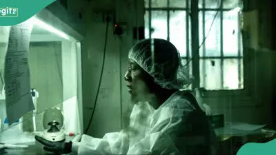 Plateau State Mourns Doctor Who Died from Lassa Fever After Treating Infected Patient