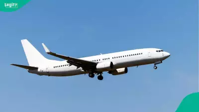 Small Plane Makes Emergency Landing on Georgia Roadway, Striking Multiple Vehicles