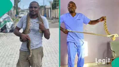 Snake Expert Dr Mark Ofua Reveals Life-Saving Steps When Confronting Snakes