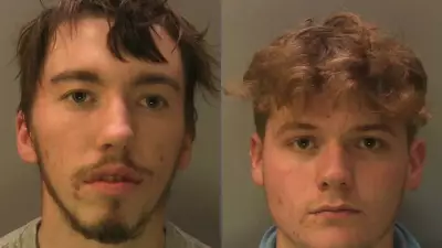 Two Agricultural Students Jailed for Sadistic Sheep Explosion Attack