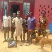 Amotekun Corps Arrests Five Suspected Armed Bandits in Ekiti Operation