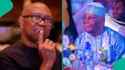 Atiku Urged to Back Peter Obi as ADC's 2027 Presidential Candidate Amid Party Tensions