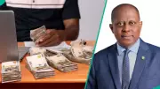 CBN Governor Cardoso Celebrates Naira's Strongest Exchange Rate in 8 Months